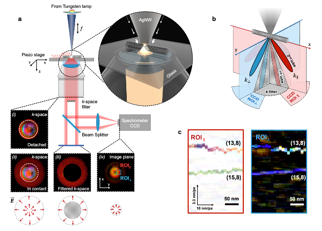“White” light from a tungsten lamp is focused into the tip of a silver nanowire to check the light scattering and absorption of a sample with high fidelity. @ Ma et. al, 2021