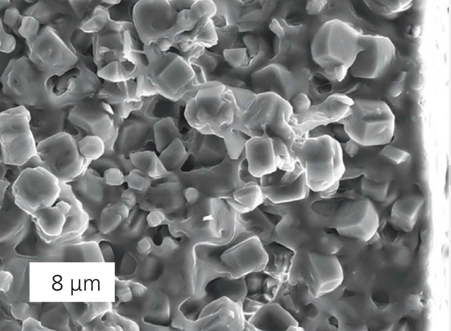 Scanning electron micrograph of a composite membrane. The ethyl acetate molecules diffuse through the pores of the zeolite layer, which are only 0.5 nm in size, to the other side of the membrane. @ Fraunhofer IKTS