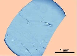 Scanning electron microscopy image of the charge density wave material used in the preparation of the composite. @ Zahra Barani and Tekwam Geremew