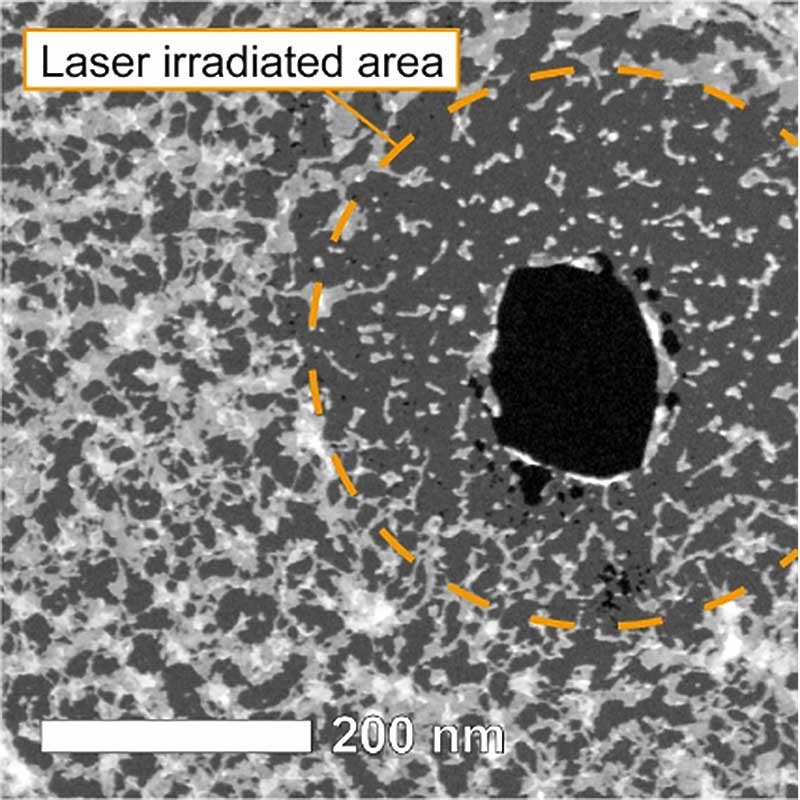 Image of laser-processed graphene film observed by scanning transmission electron microscopy. The black areas indicate through-holes. The white objects indicate surface contaminants. @ Yuuki Uesugi et al.