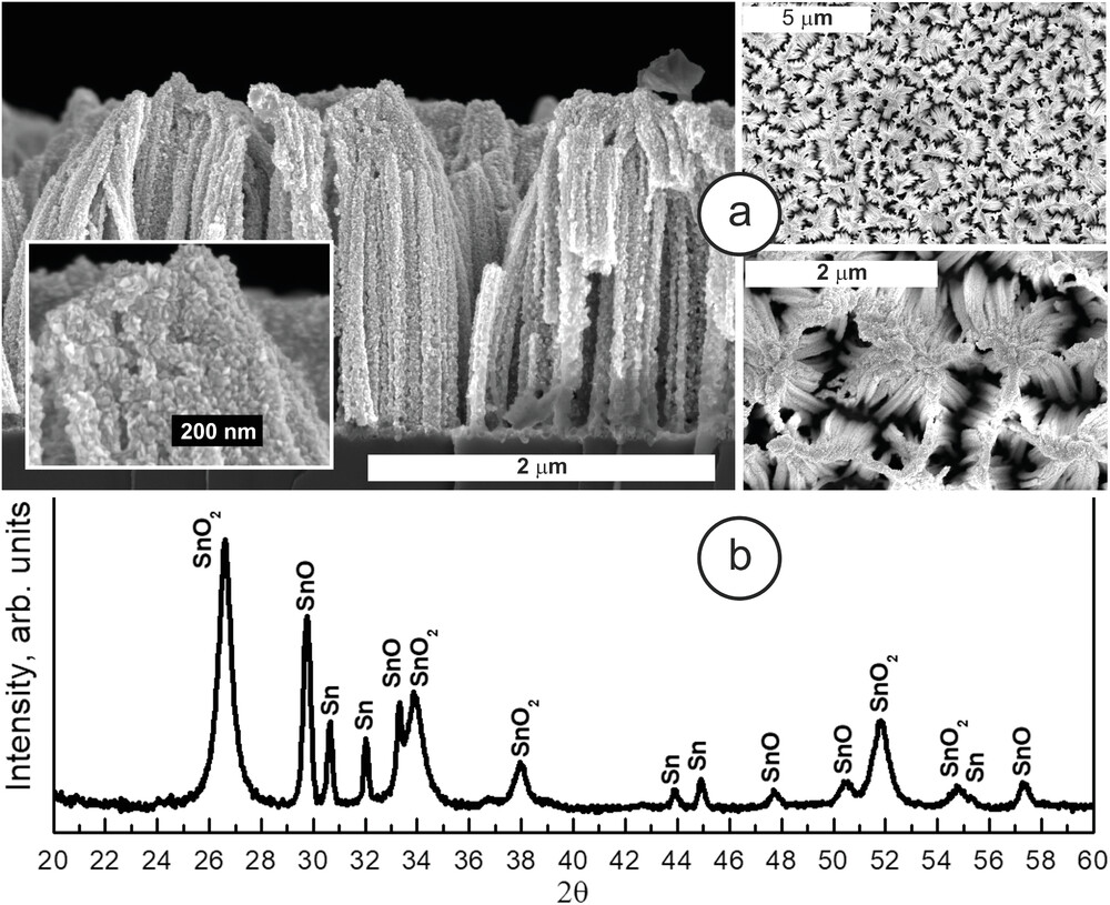 a) SEM micrographs of the formed SnO2-SiNWs composite. The left panel gives a cross-sectional view of the SiNWs matrix. The right panel gives a planar SEM image of the SiNWs array. b) XRD pattern of SnOx. @ Leibniz Institute of Photonic Technology