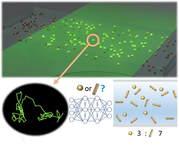 Scheme of shape prediction of nanoparticles using NTA + deep learning analysis. @ Department of Materials Engineering, Graduate School of Engineering, The University of Tokyo