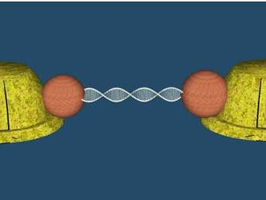Harnessing DNA molecules for disease detection and electronics