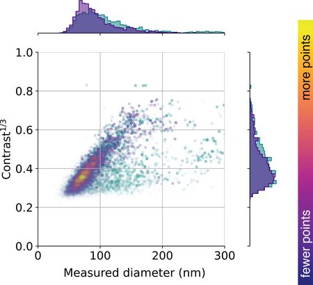 This figure shows the distribution of vesicles extracted from the urine of a healthy person as a function of vesicle size and iSCAT contrast (i.e., how strongly they scatter light). Currently, the researchers are investigating such distributions in conjunction with various diseases. @ Max Planck Institute for the Science of Light