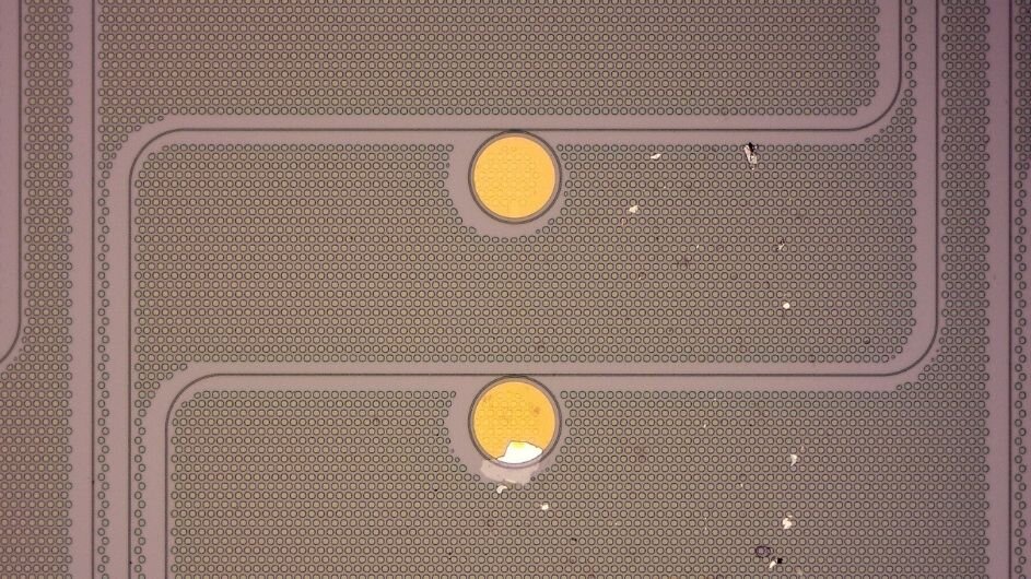 The TOS-doped graphene is highly conductive but absorbs very little of the infrared light in the resonator—a combination of properties that makes this material unique and promising for opto-electronic applications. @ Ipshita Datta, Lipson Nanophotonics Group, Columbia University