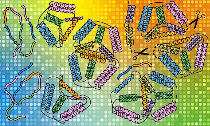 Using EMBL Hamburg's world-class beamline P12 at DESY's PETRA III synchrotron, researchers directed powerful X-ray beams at artificial proteins called coiled-coil origami proteins. @ Fabio Lapenta / National Institute of Chemistry, Ljubljana, Slovenia
