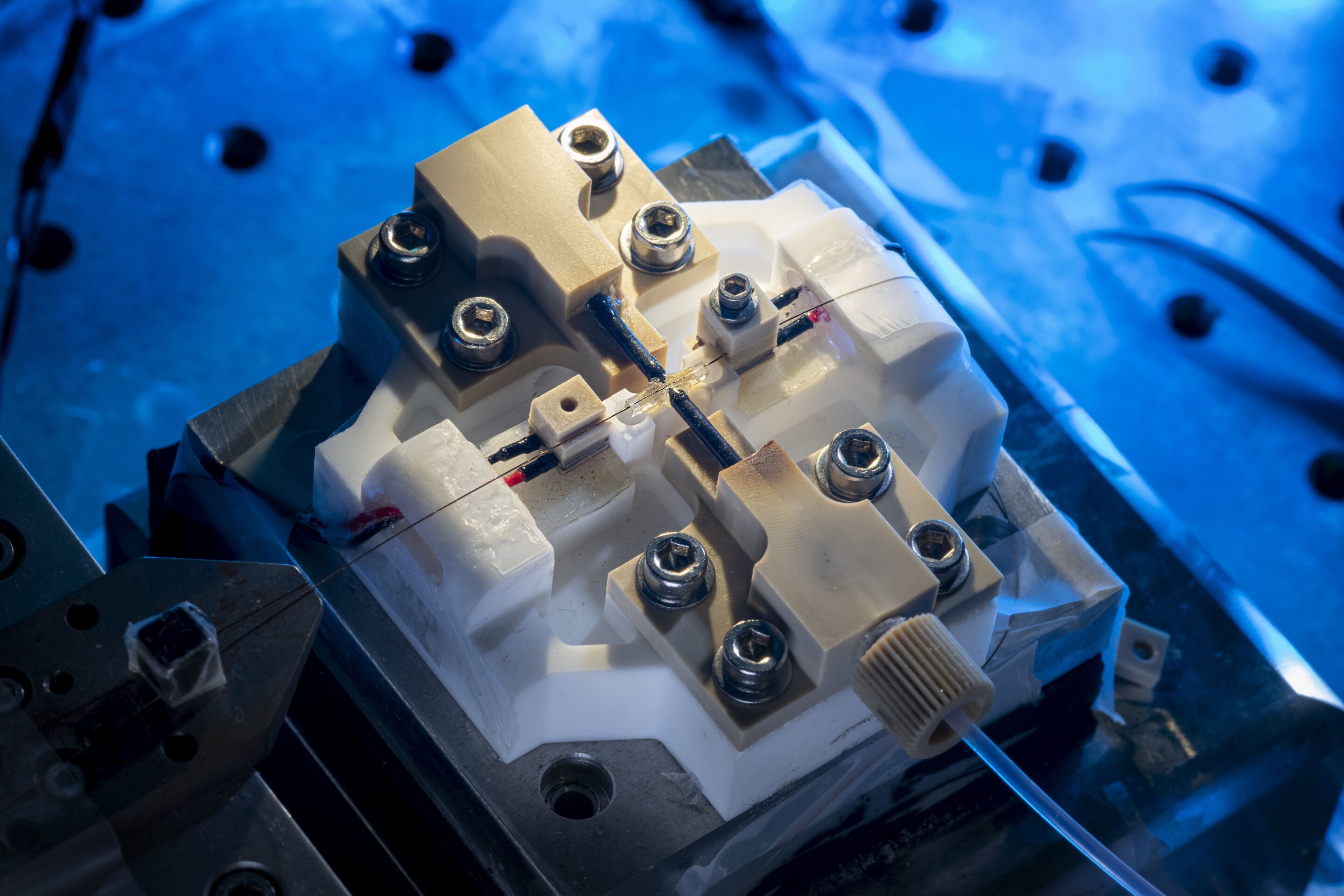 Small and revolutionary: Physicist Larissa Kohler, KIT, has developed a new type of resonator that makes ever smaller nanoparticles visible. @ Markus Breig, KIT