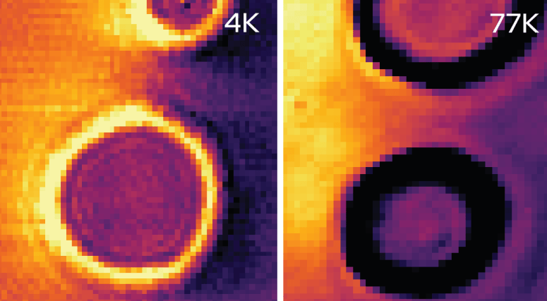 A heatmap of electron location in graphene shows that at the lower temperature (left panel), the electrons are more likely to bump into impurities (circles), with relatively fewer making it through the channel between impurities. At higher temperatures (right panel), electron flow shifts to being fluid-like. Fewer are stuck at the impurities and more flow through the channels. @ University of Wisconsin–Madison
