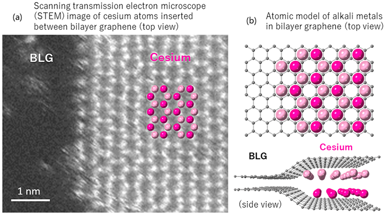 Alkali metals form a hexagonal close-packed bilayer when inserted into bilayer graphene. @ AIST