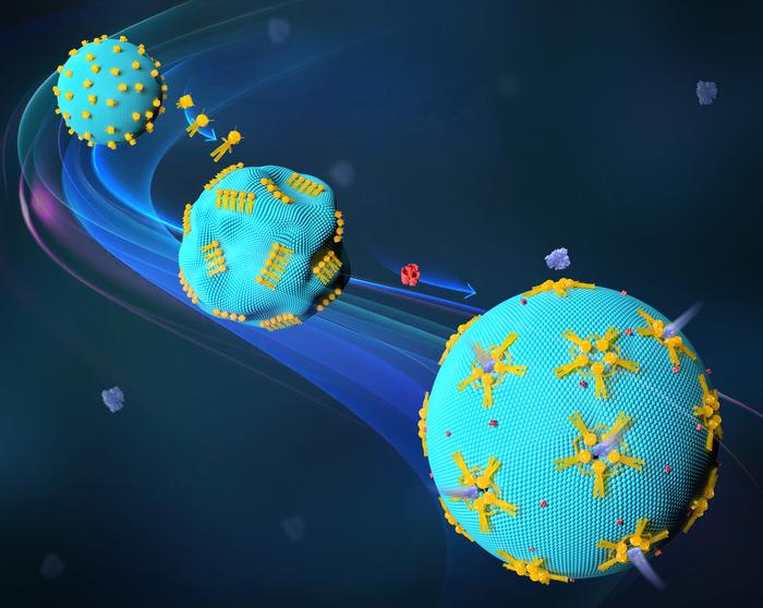 Reconfigurable DNA nanorobots that are working on the surface of synthetic cells. @ University of Stuttgart / 2nd Physics Institute