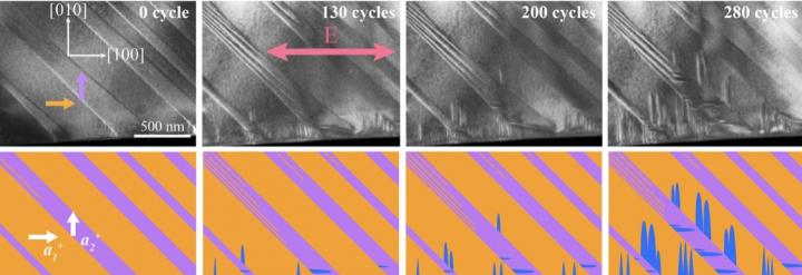 Electron microscopy images show the degradation in action. @ University of Sydney