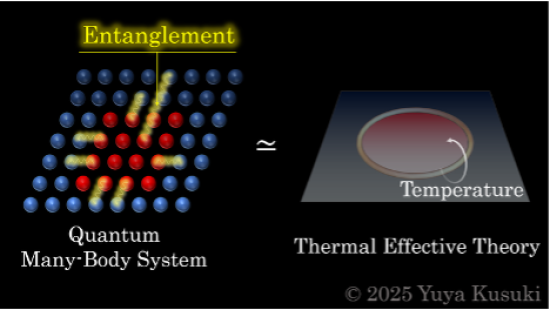 Fig 2. Looking a quantum entanglement in a quantum many-body system using thermal effective theory, which uncovers universal features of quantum entanglement. @ Yuya Kusuki