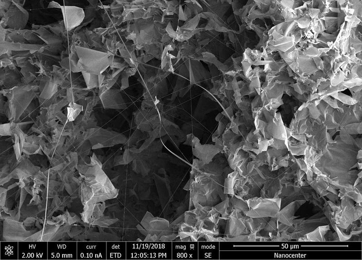 Electron microscope image of as-grown MoS2 nanomaterial, with flakes, ribbons, and nanotubes. @ Dr. Luka Pirker, Dr. Luka Pirker, IJS Ljubljana