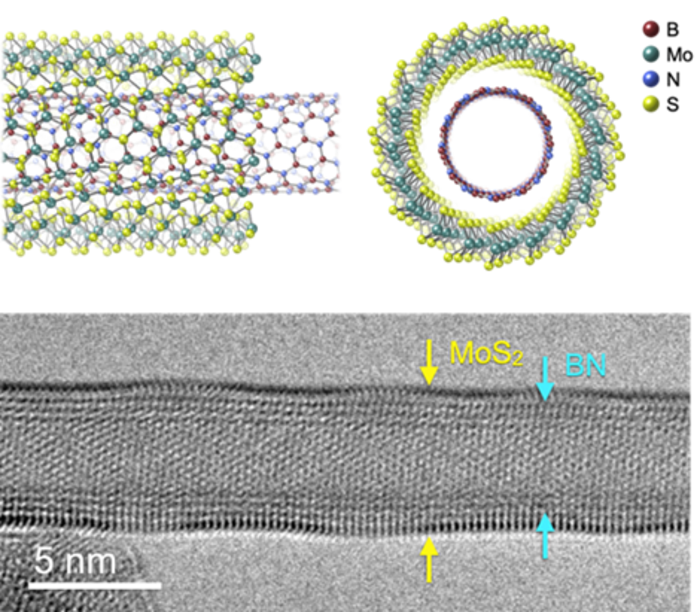 Chemical vapor deposition of molybdenum disulfide on a well-isolated boron nitride nanotube creates a coaxial nanotube structure. @ Tokyo Metropolitan University