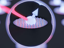 Researchers find ways to improve the storage time of quantum information in a spin rich material