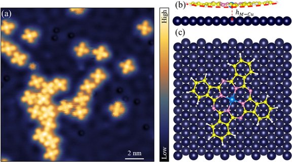 (a) Low-magnification STM image of FePc and CoPc molecules using a CO tip. Schematic side (b) and top (c) views of the relaxed FePc molecule adsorbed on a Cu(111) substrate. Blue: Fe, yellow: C, pink: N, white: H, dark purple: Cu. @ University of Texas at Austin