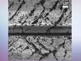 Scanning electron microscopy image of the epilayer (from the top), damaged substrate, graphitic layer and substrate.