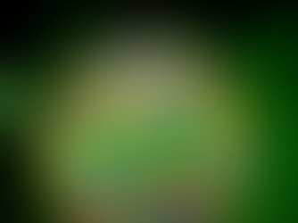 Terahertz-to-visible light conversion for future telecommunications