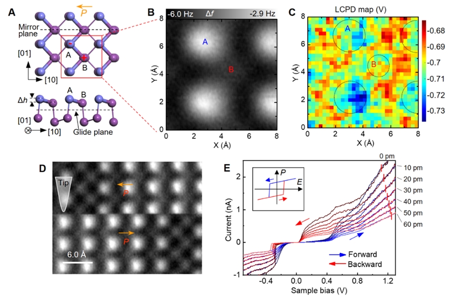 Figure (A) shows the ball-and-stick model of black phosphorus-like bismuth (BP-Bi) with top view (top panel) and side view (bottom panel). Different from black phosphorous, BP-Bi has a nonzero buckling Δh. Figure (B) and (C) show the typical non-contact atomic force microscopy (nc-AFM) image and Kelvin probe microscopy (KPFM) map of the same location respectively. Figure (D) represents the domain wall movement detected by nc-AFM when performing the polarisation switching. The top and bottom halves are the images acquired after forward and backward bias sweeping respectively. Figure (E) is the tip-height dependence of the current during the bias sweep. @ National University of Singapore