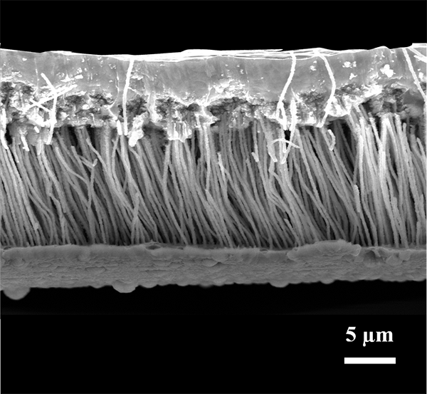 Cross-section of the material under scanning electron microscope. @ Carnegie Mellon University