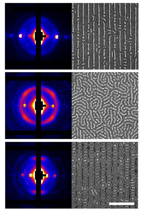 X-ray scattering data (left) are shown alongside corresponding scanning-electron microscopy images (right) of key areas in the sample identified by the AI algorithm. The images revealed three novel nanopatterns: alternating lines (top), skew (center), and ladder (bottom). Scale bar is 500 nanometers. @ Brookhaven National Laboratory