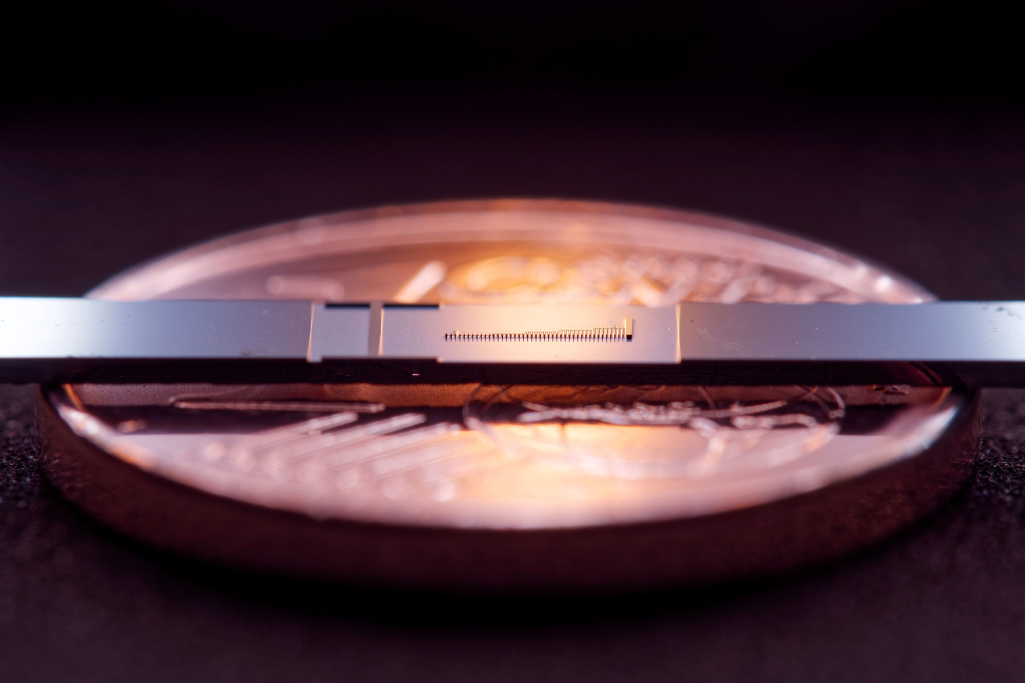 For the first time, FAU researchers have succeeded in measurably accelerating electrons in structures that are only a few nanometers in size. In the picture you can see the microchip with the structures and, in comparison, a 1 cent coin. @ FAU/Julian Litzel