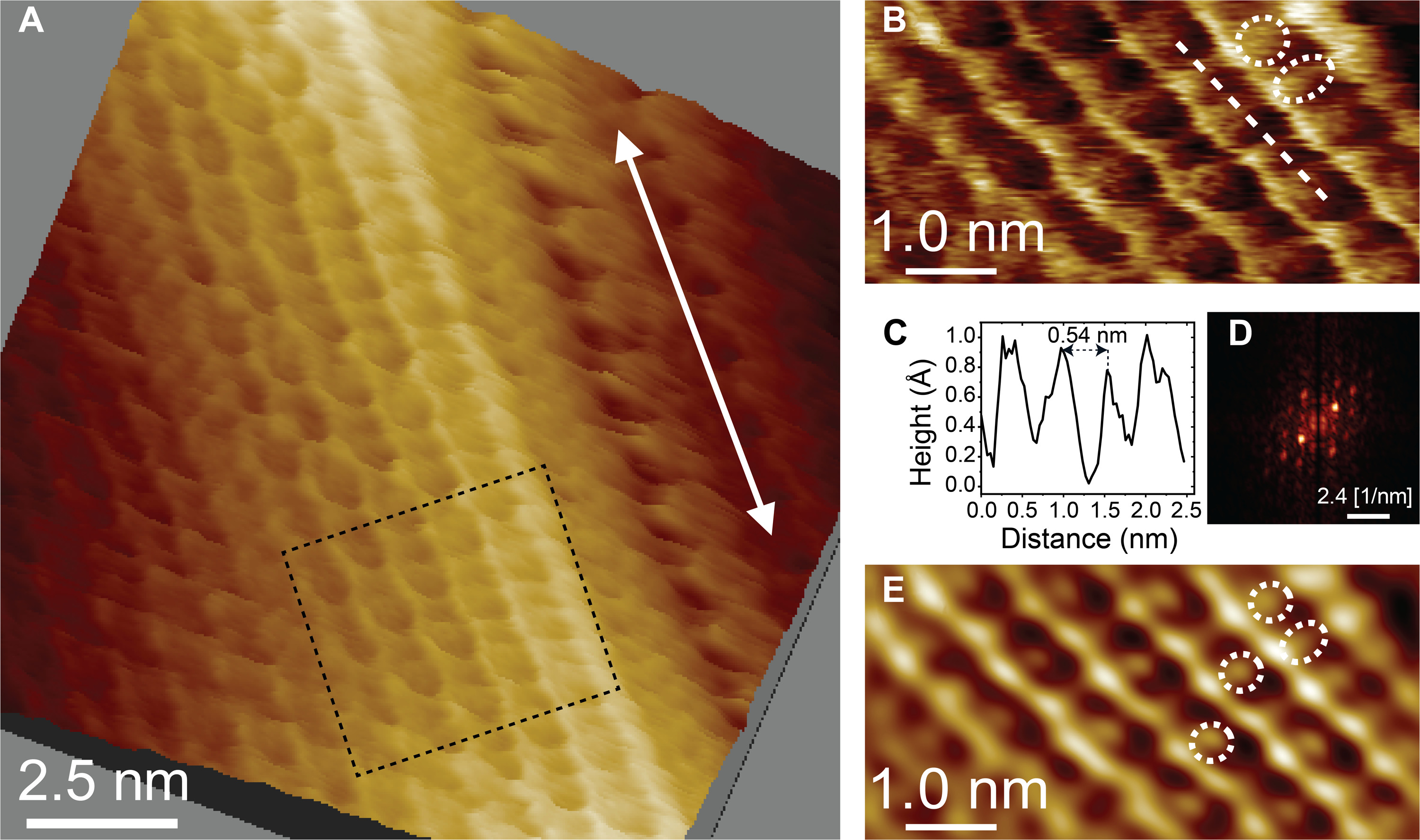 Molecular-resolution image of the CNC-water interface. @ Kanazawa University