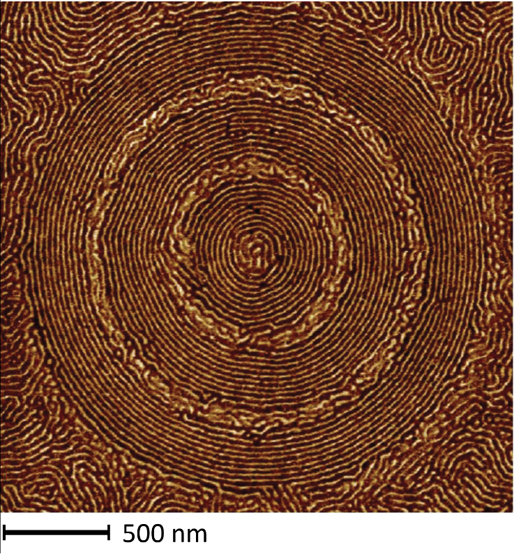 Atomic force microscopy image of self-assembling concentric nanorings reported by Ting Xu and Jie Yao in Advanced Materials. @ Berkeley Lab