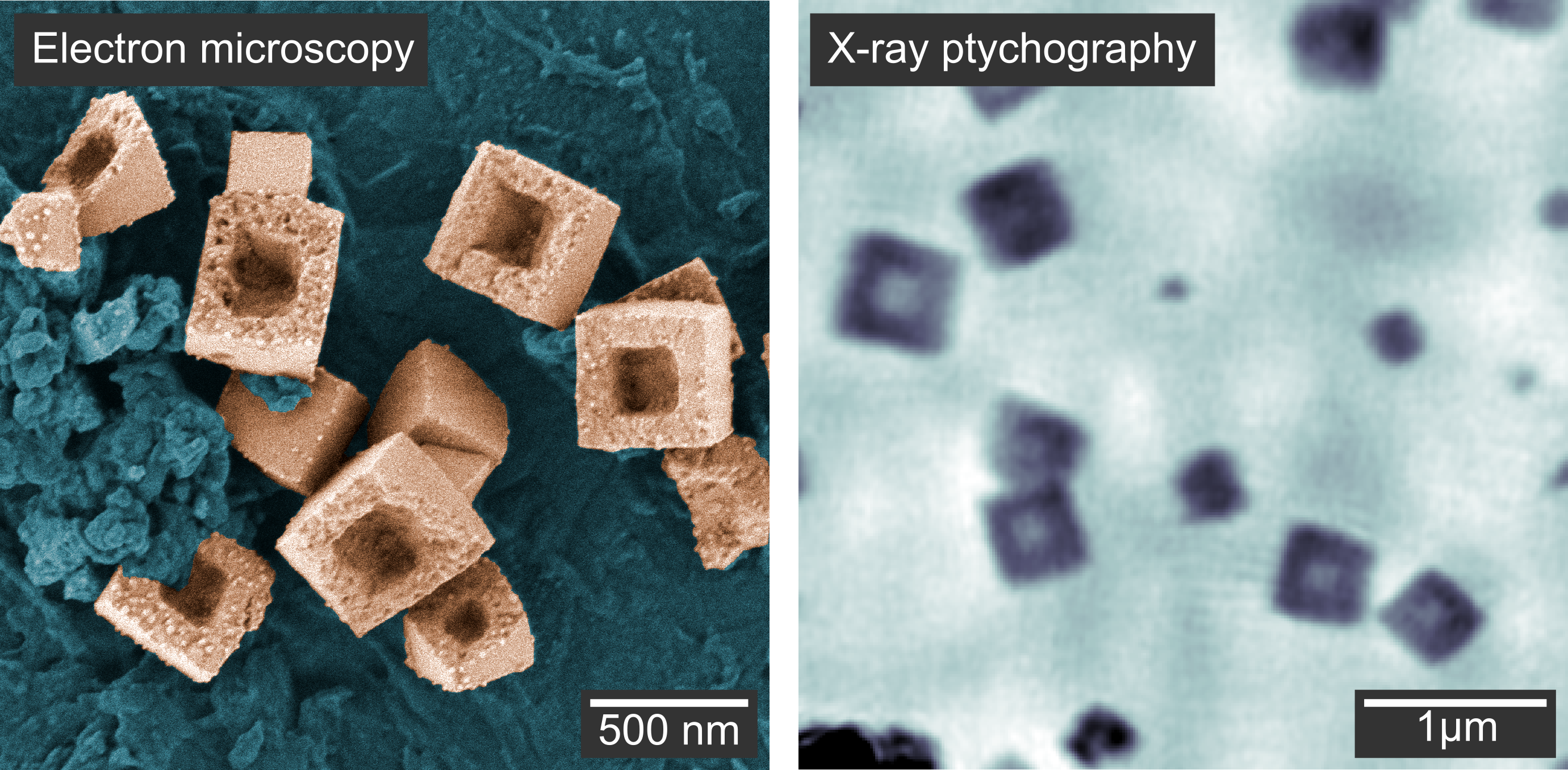 Scanning electron microscopy image (left) of the hollow copper nanocubes outside the chemical reactor. X-ray ptychography (right) does not deliver the same resolution, but can follow the growth inside the chemical reactor in real time. @ Grote et al., „Nature Communications“; CC BY 4.0