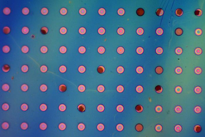 MIT researchers tested the gas permeability of their new polymer films by suspending them over microwells to form bubbles. Some bubbles from 2021 experiments are still inflated. This optical micrograph shows how the films form very colorful spots when suspended over microwells. @ MIT