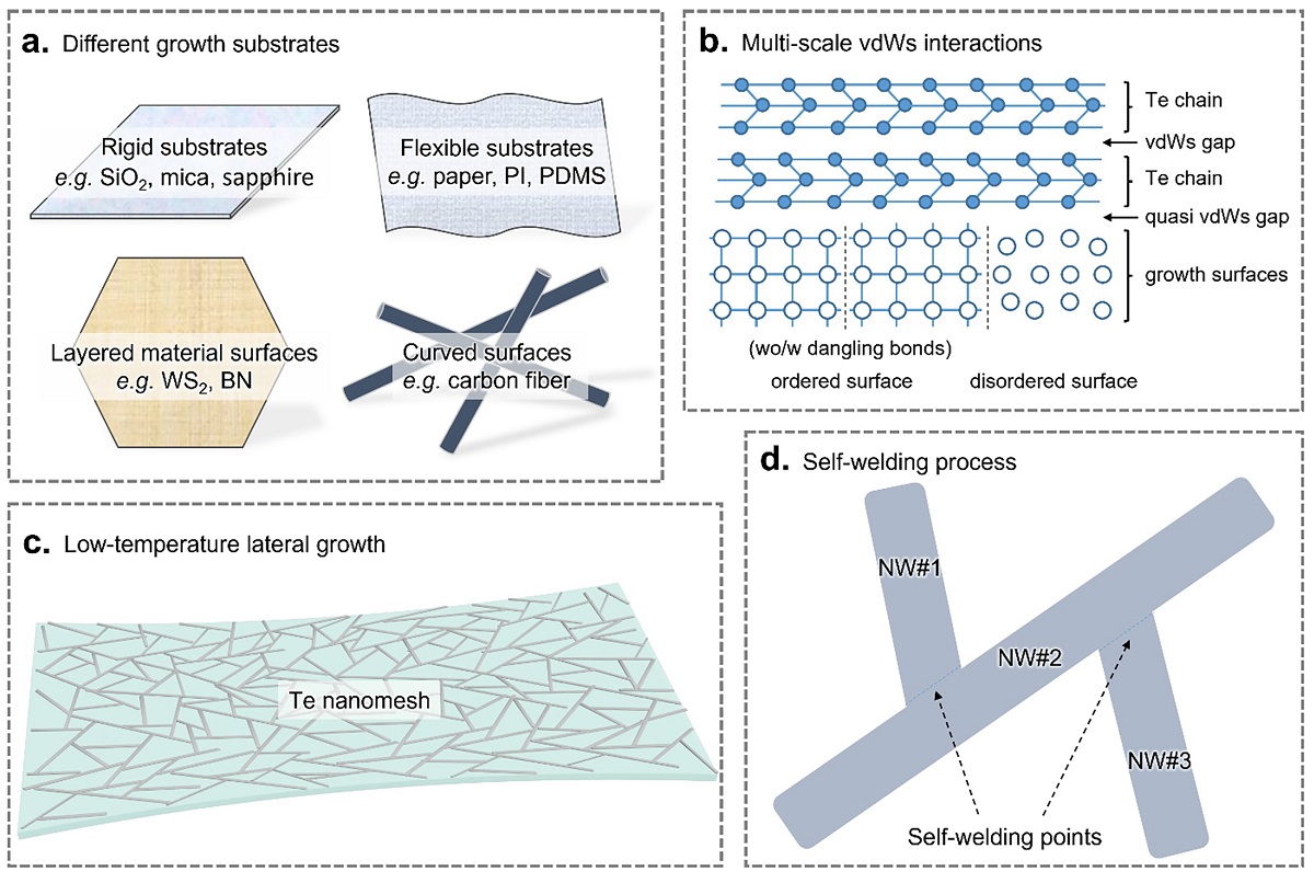 Schematic illustrations of low-temperature tellurium nanomesh growth on arbitrary surfaces. @ Meng, Y. et al,