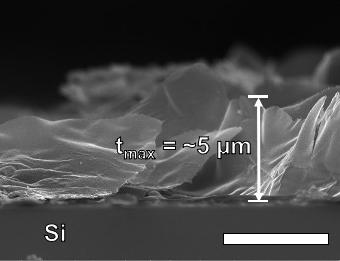 A scanning electron microscope image shows a cross-section of laser-induced graphene on silicon. The graphene was created at Rice University by lasing a photoresist polymer to make micron-scale lines that could be useful for electronics and other applications. The scale bar is 5 microns. @ Tour Group/Rice University