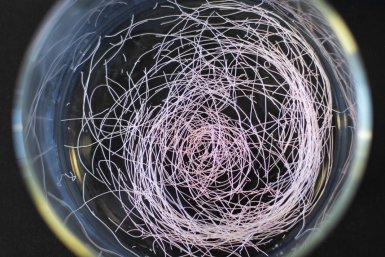 In a previous version, a bijel had the shape of a hair. In the new variety, they are placed in a film. @ Utrecht University