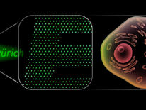 This ETH Zurich logo consists of 2,800 nano light-emitting diodes and, at a height of 20 micrometres, matches the size of a human cell. A single pixel measures around 0.2 micrometres (200 nanometres).