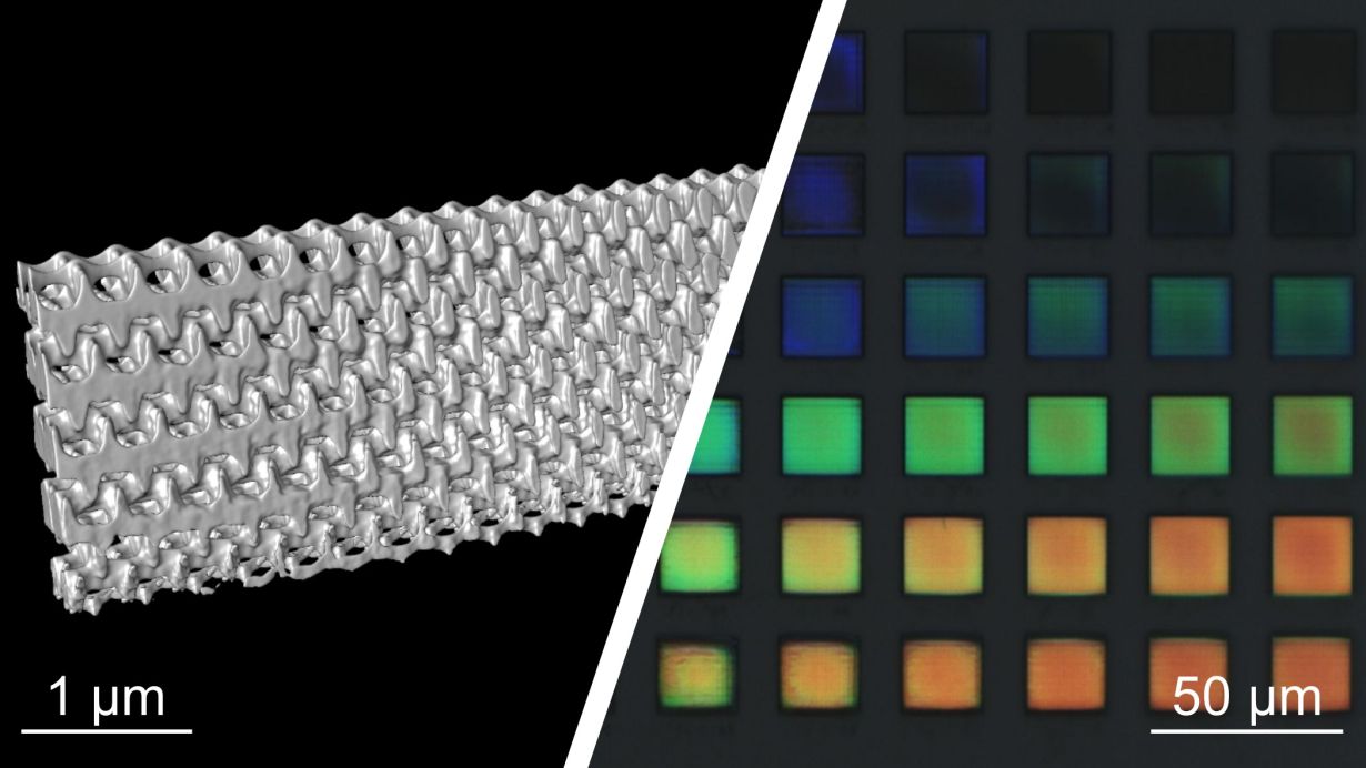 Electron microscopic reconstruction of a 3D nanostructure printed with the 2-step absorption process (left) and light microscopy (right). @ Professor Rasmus Schröder, University of Heidelberg, Vincent Hahn, KIT