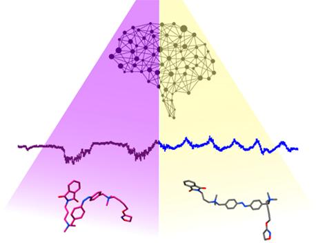 Controlling of brain state transitions using a molecule responsive to light. @ IBEC/IDIBAPS