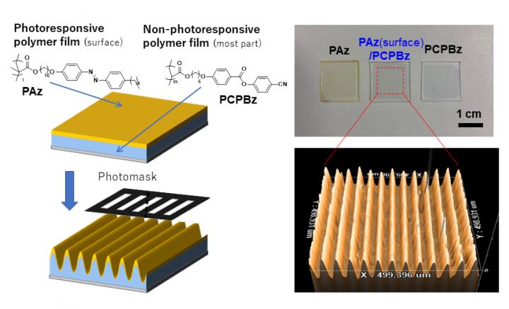 Schematic of the film (left): The film is mostly composed of a non-photoresponsive polymer (200 - 400 nm thick), and a photoresponsive polymer layer exists only at the surface (some nm thick). Photograph of the films and surface shape after UV radiation through a photomask (right). @ Issei Kitamura / Springer Nature