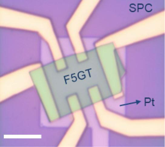 A SP-FET transistor, with F5GT flake on a solid proton conductor (SPC) - scale = 10μm @ FLEET
