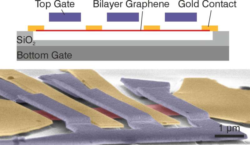 The gold contacts are shown as yellow, the graphene double layers red, and the metal bridge blue. @ Fabian Geisenhof/Jakob Lenz
