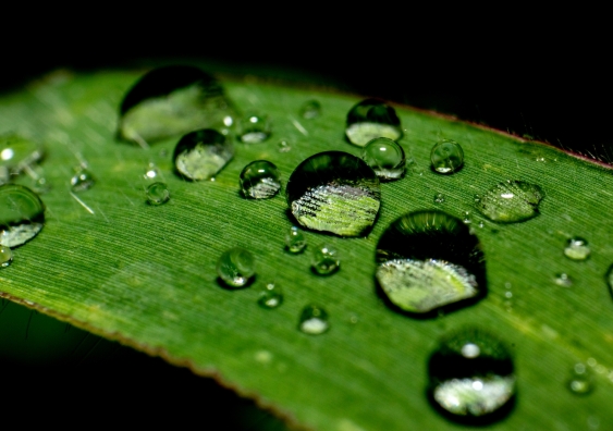 Surface tension contributes to the unusual interaction of water with the nanoscopic graphene oxide pores. @ Shutterstock