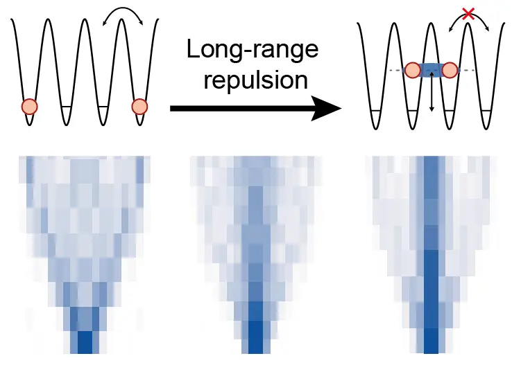 Pair binding via long-range repulsion. Increasing the long-range repulsion from absent (left) to dominant (right), we see a dramatic change in the time evolution of the mean density (shown in the lower panels). Without long-range interactions the particles tunneling freely and independently (schematic top-left), whereas for strong repulsions the atoms are paired and undergo slower motion (schematic top-right). The binding arises due to the finite tunneling energy, which acts as a “tunneling filter” suppressing single-particle dynamics while allowing slower pair tunneling. @ Max Planck Institute of Quantum Optics
