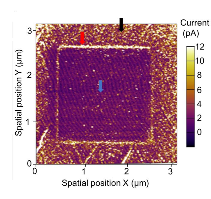 The current line scan profile shows high conductivity at the boundary between ion-beam irradiated and unirradiated areas. @ FLEET