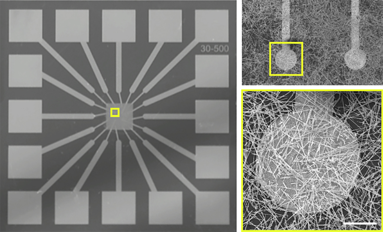 Images of electrodes (small squares) and nanowires. @ Sam Lilak/UCLA