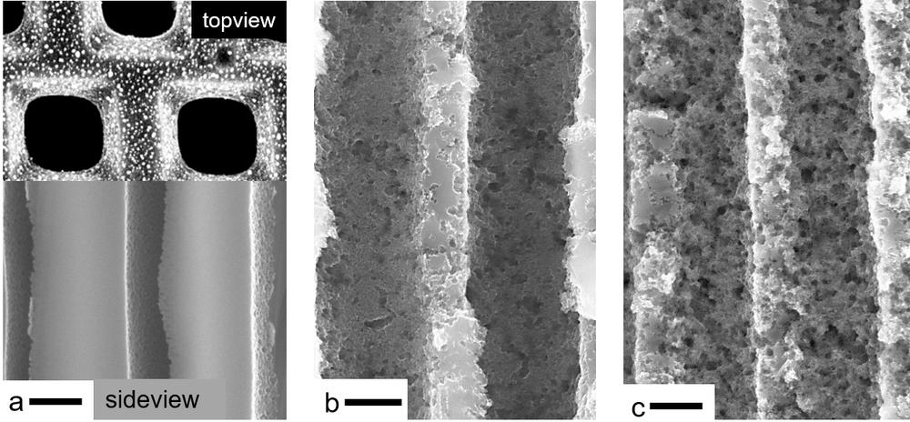 Electron micrograph of the one-micrometre macropores before etching, after 20 and after 45 minutes of etching. @ DESY/TUHH, Huber group