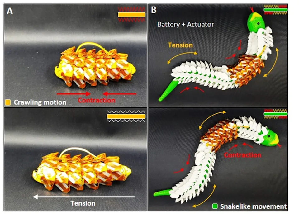 Flexible, stretchable battery technology developed by KIMM engineers applied to a soft robot with moveable joints like a snake to observe its flexibility when moving. @ Korea Institute of Machinery and Materials