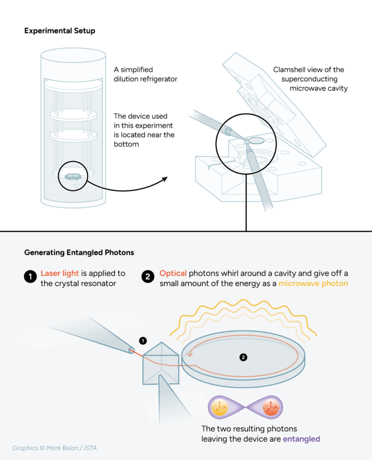 The experimental setup with the dilution refrigerator, the superconducting cavity, and the electro-optic crystal splitting and entangling the photons. @ Mark Belan/ISTA