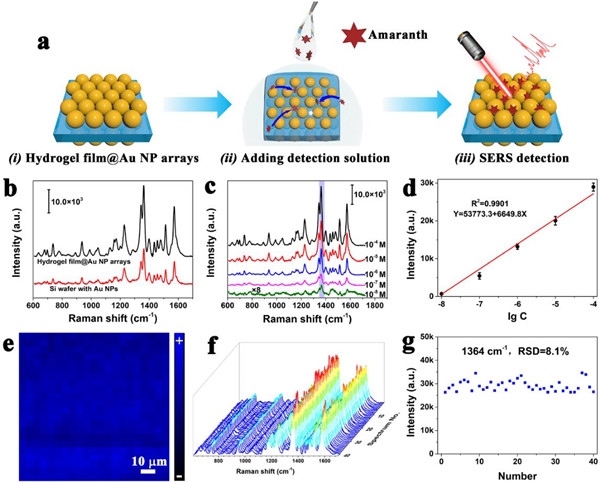 High SERS performance of the hydrogel film@gold NP arrays with active gaps between neighboring nanoparticles. @ XING Changchang