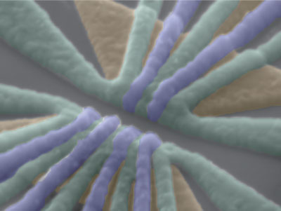 Figure 1: False-colored scanning electron micrograph of the device. The purple and green structures represent the aluminium gates. Six RIKEN physicists succeeded in entangling three silicon-based spin qubits using the device. @ 2021 RIKEN Center for Emergent Matter Science