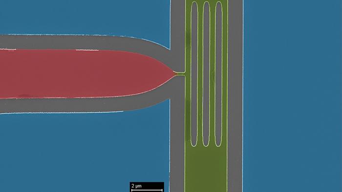False color scanning electron microscope image of a parallel-channel superconducting nanocryotron. Blue highlights the ground plane, grey shows the trench and nanowire gaps, green represents the effective NbN channel, and red signifies the NbN gate to choke constriction. Scale bars correspond to 2 μm. @ Argonne National Laboratory