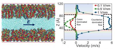 (left) Schematic of the PE-brush-grafted nanochannel system. (right) Flow reversal with applied electric field strength. @ T. H. Pial et al., ACS Nano, 2021, DOI: 10.1021/acsnano.0c09248